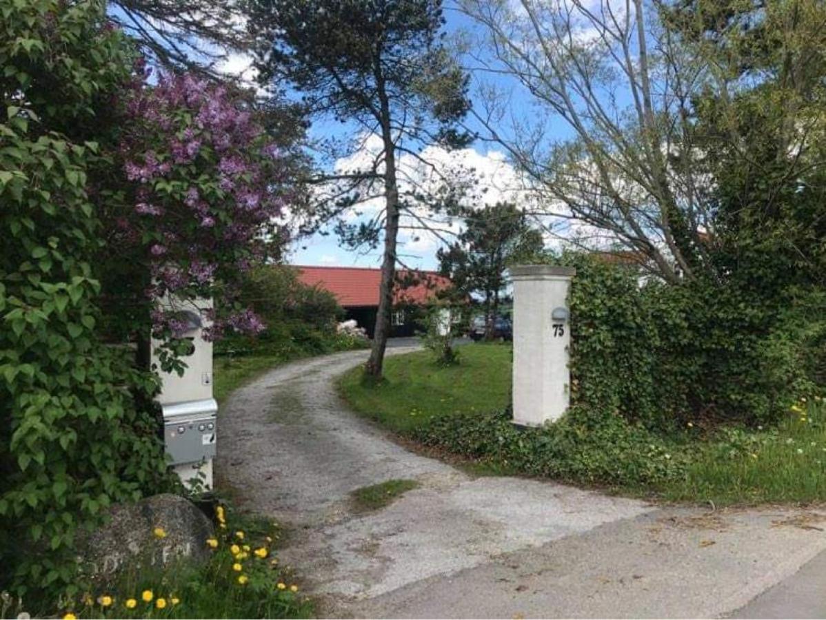 Country-Living With A Lovely View And Own Terrace, Entrance And Parking Roskilde Exterior foto