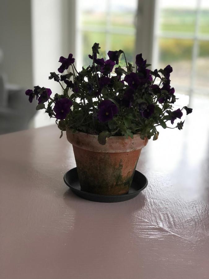 Country-Living With A Lovely View And Own Terrace, Entrance And Parking Roskilde Exterior foto